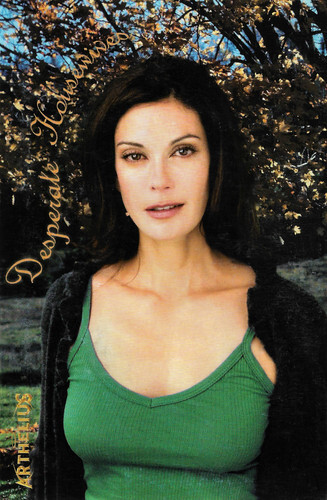 Teri Hatcher in Desperate Housewives