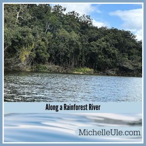 Rainforest river