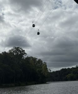 Skyrail above a rainforest river