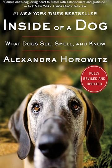 Book cover, with a close up photo of a long-eared dog looking earnestly at the camera.