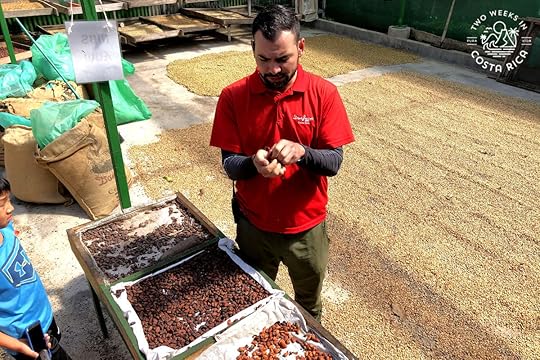 a guide at Don Juan showing people a cacao pod with coffee beans drying on the ground behind him