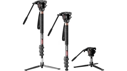 camera monopod with video head