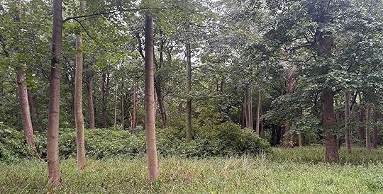 Daynote - Tue 19 Aug