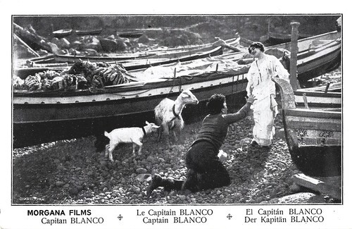 Capitan Blanco 13