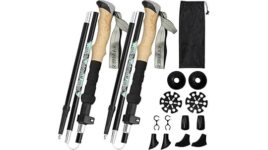 pair of walking poles