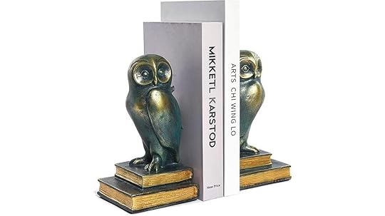 bronze owl shelf decor