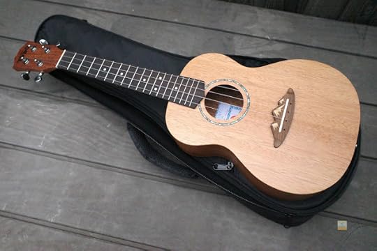 TODO MUSIC Mount Fuji Concert Ukulele
