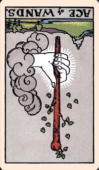 Ace of Wands (Reversed) | Tarot Card