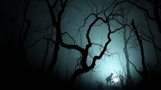 infrared flashlight selection tips