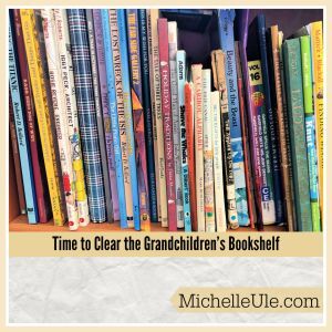 My grandchildren's bookshelf