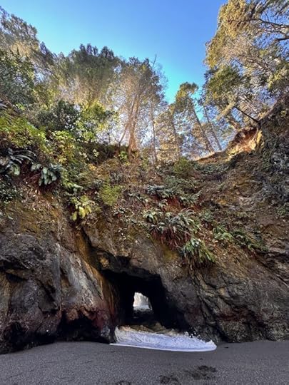 Sea Caves and tunnels are a frequent sighting along the Mendocino Coast. (Dannah Nielsen -- contributed)