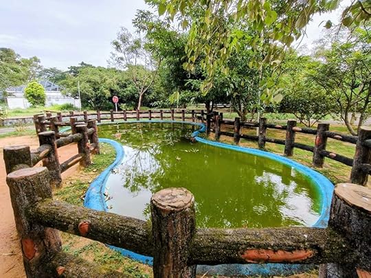A Small Pond in Kollam Children's Park.