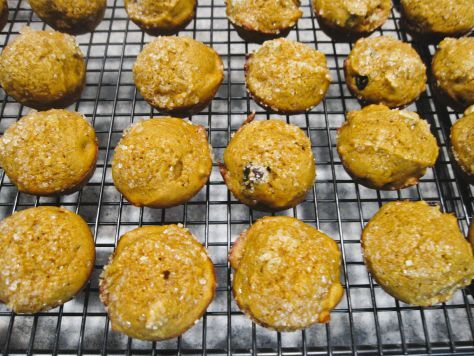 Bready or Not Original: Sourdough Pumpkin Mini Muffins