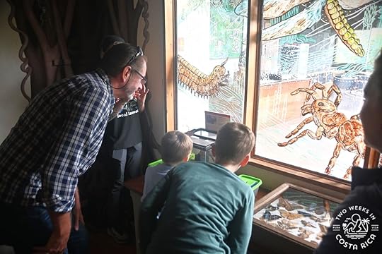 people looking at insect exhibits in monteverde