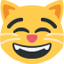😸