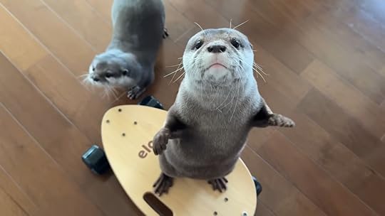 skateboarding otter