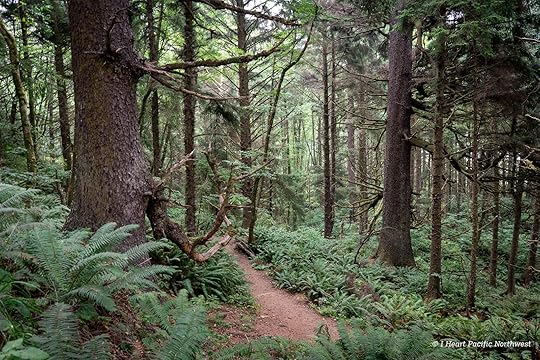 Ecola Point to Indian Beach hike