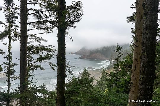 Ecola Point to Indian Beach hike