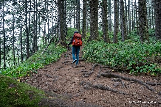 Ecola Point to Indian Beach hike
