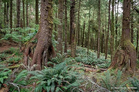 Ecola Point to Indian Beach hike