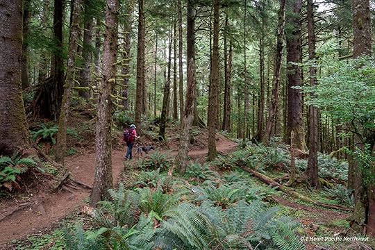 Ecola Point to Indian Beach hike