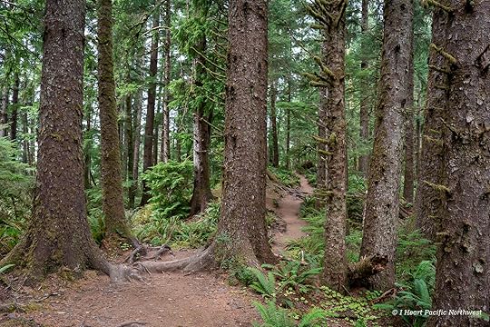 Ecola Point to Indian Beach hike