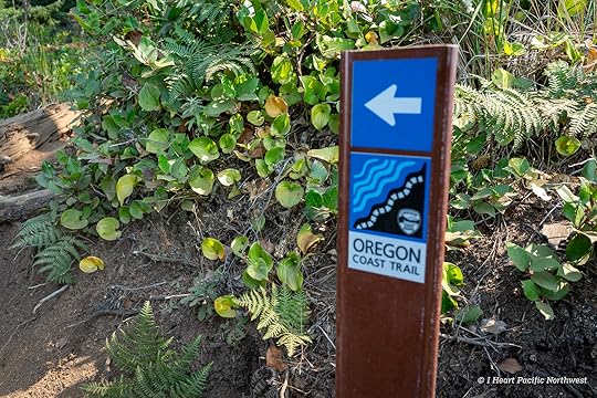 Ecola Point to Indian Beach hike