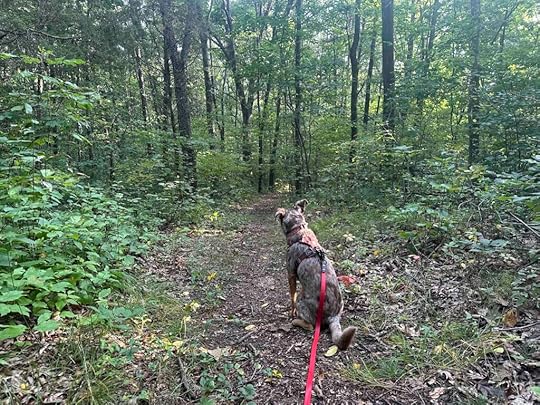 Charles McClue Nature Reserve