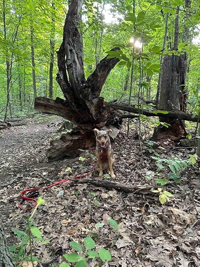 Sunny posing by a tree