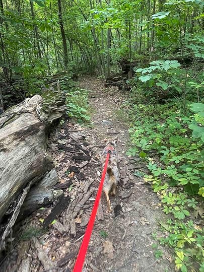 Juniper Trail at Charles McClue Nature Reserve