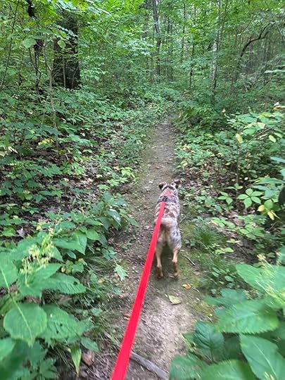 Long Trail at Charles McClue Nature Reserve