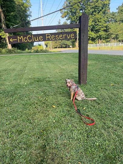 sign for McClue Reserve