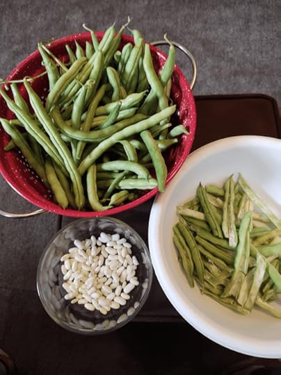 Beans in their shell, and after shelling in three different bowls.