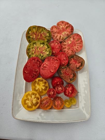 A tray of halved tomatoes to show the relative sizes and shapes and colors of ten different tomatoes