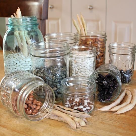 Nine glass jars of beans plus a few bean pods on a table.