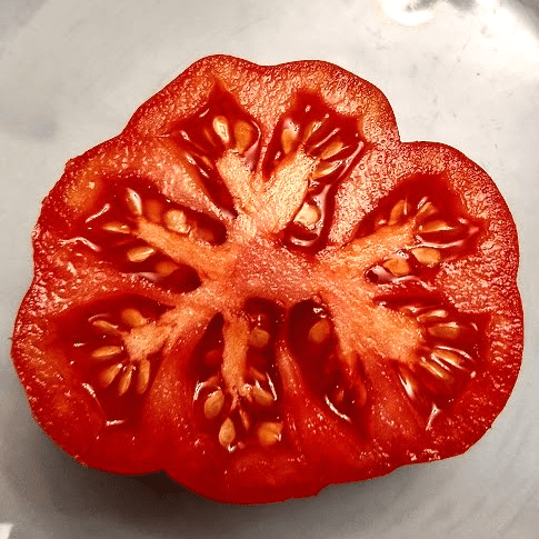 a slice of a red, juicy tomato with many visable seeds