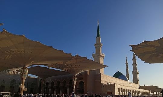 IMG-20250208-214421-518