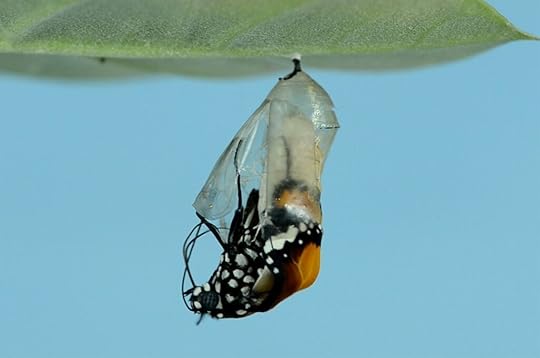 Chrysalis -- spiritual writing
