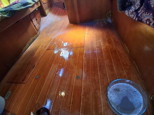 Murphy's on the cabin sole...