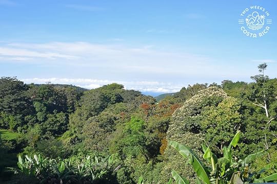 cloud forest views at hotel belmar