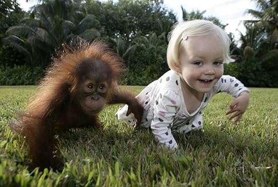 Emily takes her new (orangutan) friend, Rishi, for a stroll, 2008 - by Barry Bland (1970), English.jpg