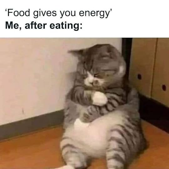 50 Funny Memes – Orel Vine School