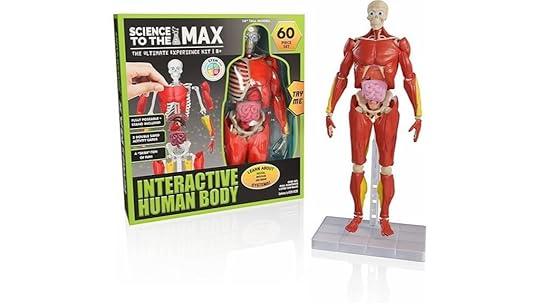 interactive human body model
