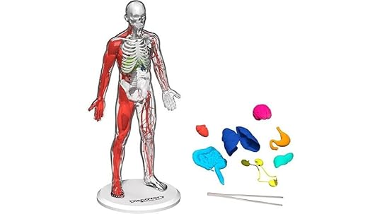 3d human anatomy kit