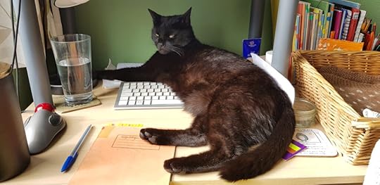A black cat lies across a keyboard.