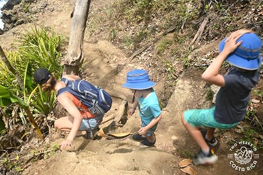 people climbing down a steep trail
