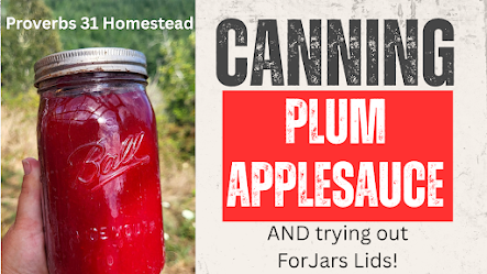 Making and Canning Plum Applesauce