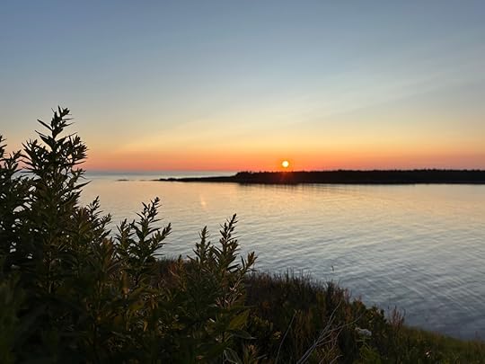 Sunset, ocean, trees
