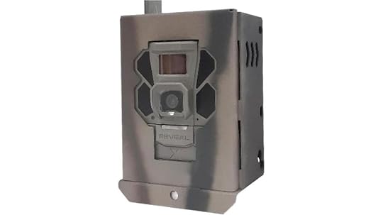 security box for reveal