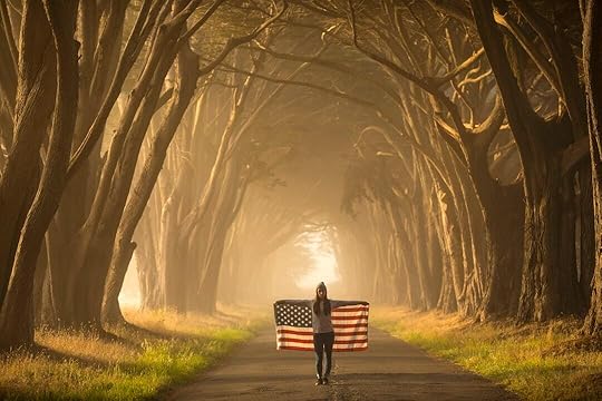 a person with a bench in a foggy forest